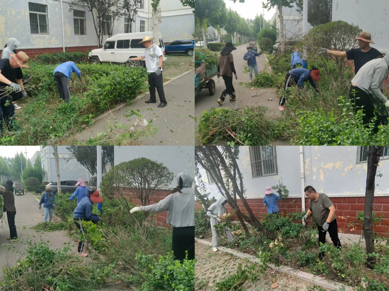 【魯南電商】共建美麗園區(qū)，我們在行動(dòng)！